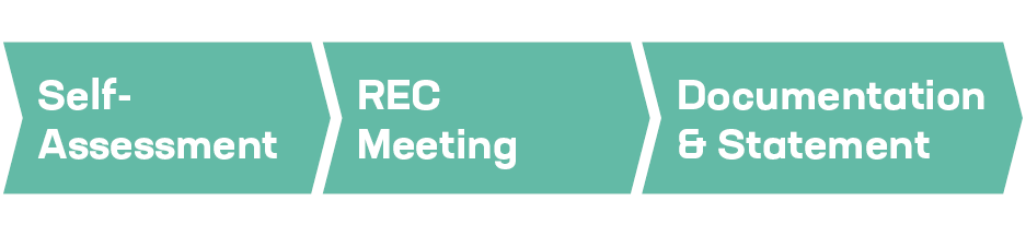 Bild: Self-Assessment > REC  Meeting > Documentation & Statement