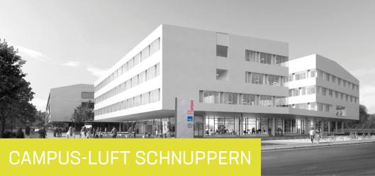 Sommer-Campus-Rundgang / Foto: Campus St. Pölten (C) NMPB Architekten